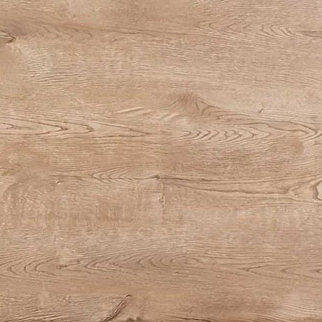 Карпатская ель