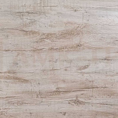 Многолетний дуб