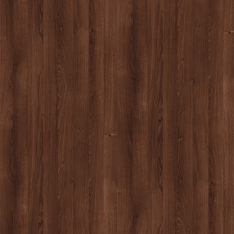 Дуб Кальяри